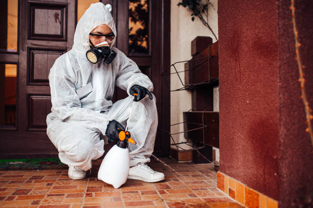 Reliable Ant Control contractor in Jonesville, VA by Nex Pest Control