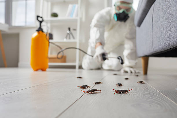 Trusted Cockroach Control service in Jonesville, VA - Nex Pest Control