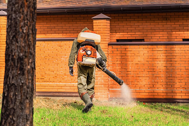 Trusted Bed Bug Control service in Jonesville, VA - Nex Pest Control